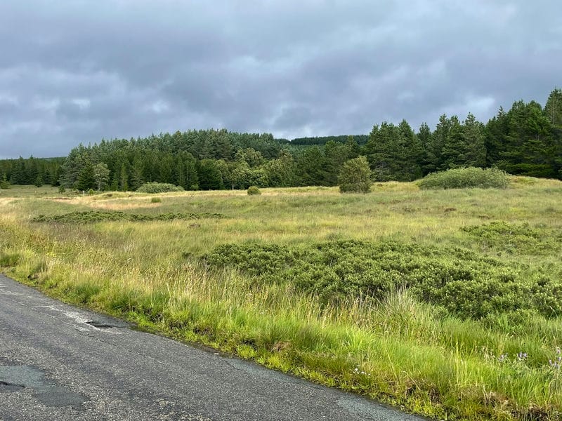 Ride gallery photo at Loch Shin, Lairg, Sutherland