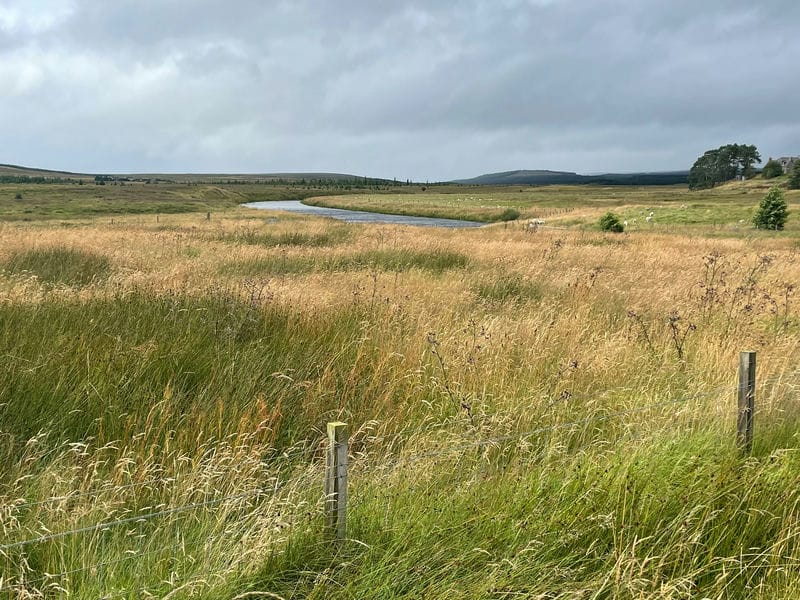 Ride gallery photo at North of Lairg, Sutherland